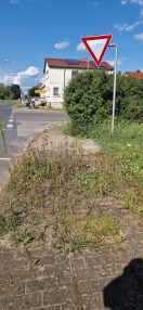 Foto: Dringende Pflege der Hecke an der Kreuzung Belziger Chaussee/ Rietzer Straße  