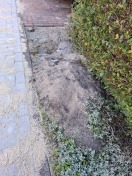 Foto: Gehweg Heilstättenweg  