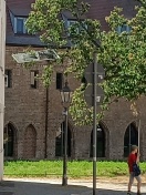 Foto: Balkontür im Baum 