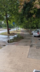 Foto: B1/B102 Zentrumring Wasserablauf durch Grasnarbe verhindert  