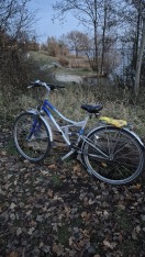 Foto: Fahrrad abgestellt  