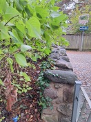 Foto: Müll hinter Stadtmauer 