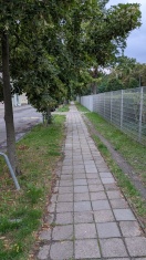 Foto: Lichtraumprofil Gehwegsbereich zugewachsen  