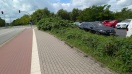Foto: Seit Wochen zugewachsen und unbearbeitet  