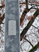 Foto: Keine Beleuchtung  