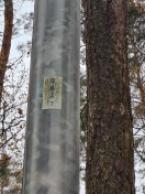 Foto: Laterne defekt  