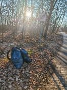 Foto: Gesammelter Müll in den Grünflächen 