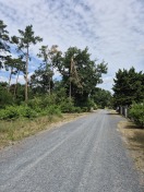 Foto: Sturmschaden  