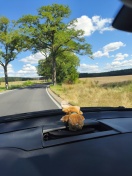 Foto: Stark eingeschränkte Einsicht in den Gegenverkehr  