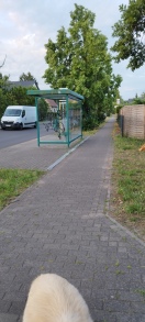 Foto: Sicht an Kreuzung mit Bushaltestelle nicht einsehbar 