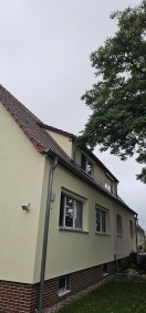 Foto: Baumkronenschnitt 