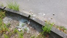 Foto: Glasscherben am Straßenrand 