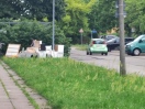 Foto: Illegal abgestellter Müll 
