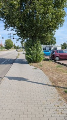 Foto: Wiederkehrende Höhe lidle zugewachsen  