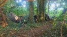 Foto: Dauercamper am Wentorfgraben 