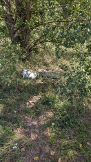 Foto: Elektrotechnik Schrott zanderstraße ecke Vereinsstraße 49 