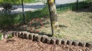 Foto: Ratte Schlosspark  