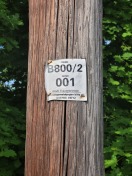 Foto: Kabel  