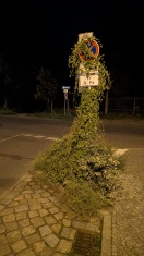 Foto: Ecke Vereinsstraße tarnschild - gültig oder Grünflächen Konzept?  