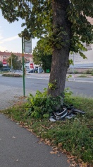 Foto: Sperrmüll Höhe Haltstelle Zum Marienberg  