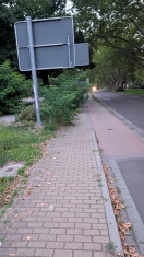 Foto: Weite Bereiche Lichtraumprofil Gehwegsbereich und Angebots Radweg zugewachsen  