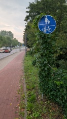 Foto: B1/B102 Einmündungsbereich Bauhofstraße - Schilder, Geländer usw. wachsen zu  