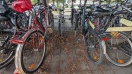 Foto: Hauptbahnhof Brandenburg - Fahrradständer benötigen Grundreinigung da stark verschmutzt  