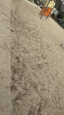 Foto: Verschmutzung Spielplatz 