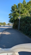 Foto: Ecke Upstallstraße - Lichtraumprofil zugewachsen  