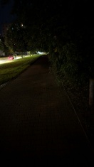 Foto: Lichtraumprofil zugewachsen Schulwegesicherheit  