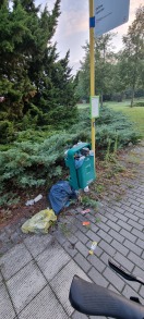Foto: Abfalleimer quillt über 