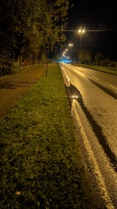 Foto: Stehende Nässe und Pfützenbildung auf der B1/B102 im Zentrum von Brandenburg an der Havel 