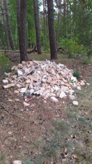 Foto: Bauschutt und Müll an der Waldkante 