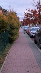 Foto: Gehwegsbereich zugewachsen Lichtraumprofil unzureichend  