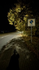 Foto: Lichtraumprofil zugewachsen  