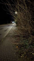 Foto: Lichtraumprofil zugewachsen - Eigentum verpflichtet  