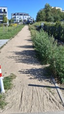 Foto: Ungepflegte Grünfläche 