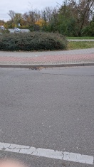 Foto: Ecke Zentrumring Rewe Glasscherben auf dem Gehweg und Radwegflächen  