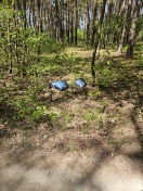 Foto: Müll im Wald  