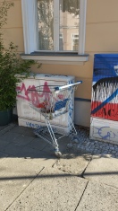 Foto: Einkaufswagen mit Müll  