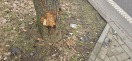 Foto: ID 336617 v. 06.02.2025 