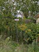 Foto: Löschwasser Entnahme Stelle zugewuchert 