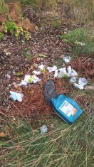 Foto: Bauschutt und Müll an der Waldkante 