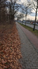 Foto: Lichtraumprofil zugewachsen - zanderstraße Zentrumring zwischen Stufenwohnheim und b1/B102 