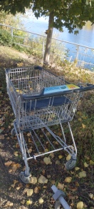 Foto: Einkaufswagen 