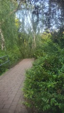 Foto: abgebrochener Ast  