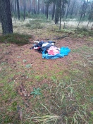 Foto: Müll im Wald 