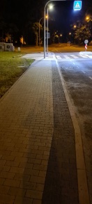 Foto: Fgü - Gehwegsbereich stark verschmutzt 