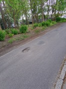 Foto: Loch in der Straße  