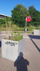 Foto: Bepflanzung fraglich und unschön. 
